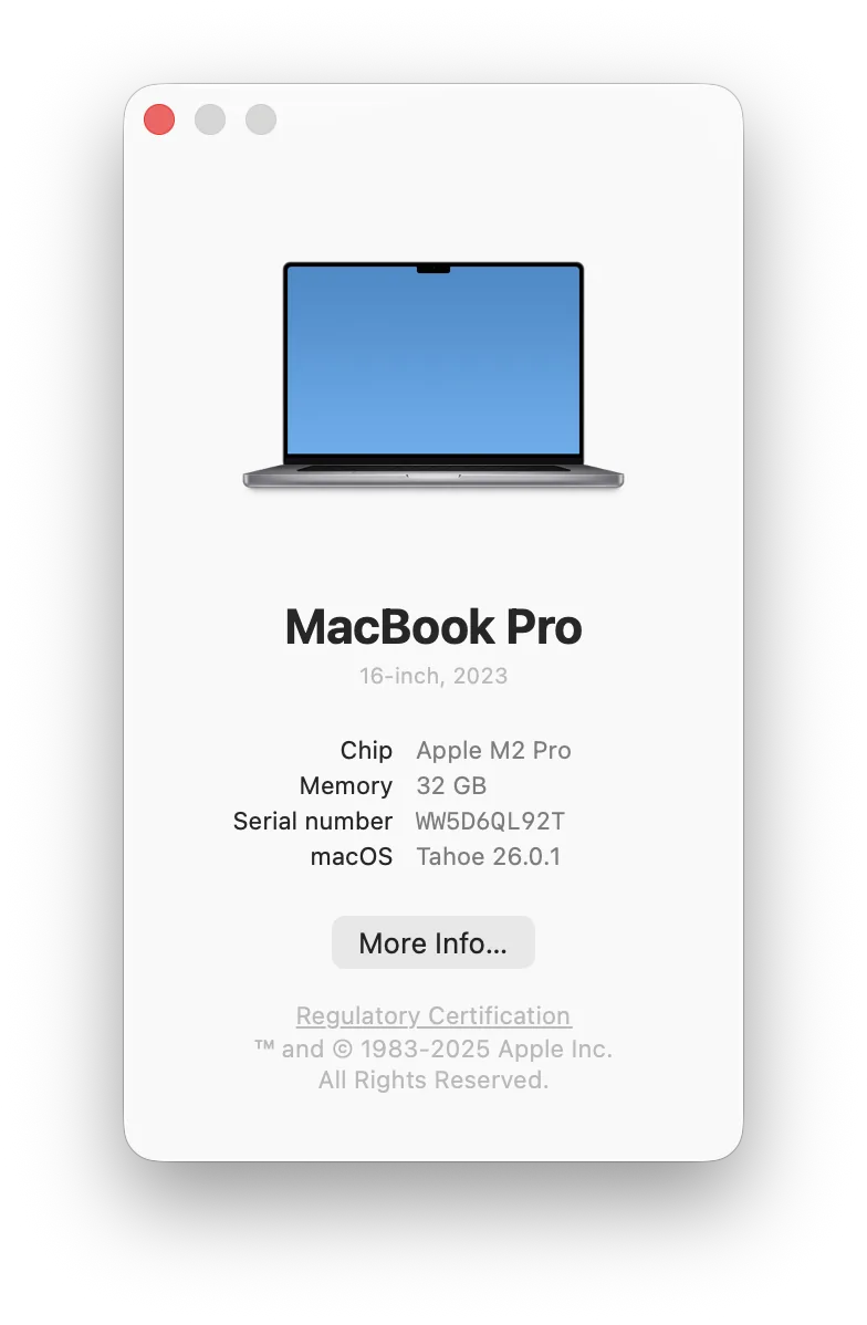 Chip information